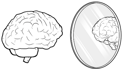 Kinesthetic Empathy